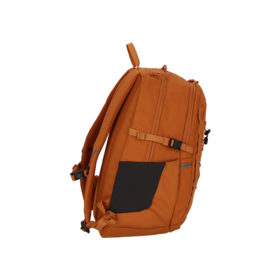 Skule 20
