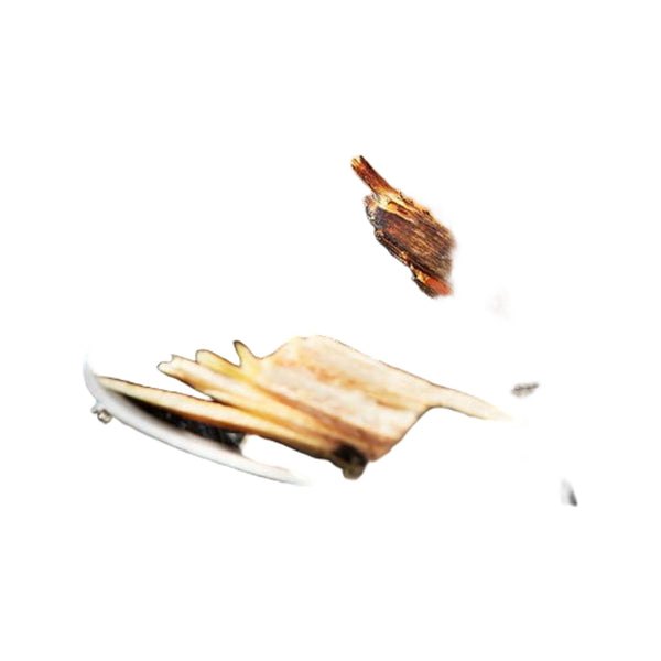 Light My Fire Tinder Sticks