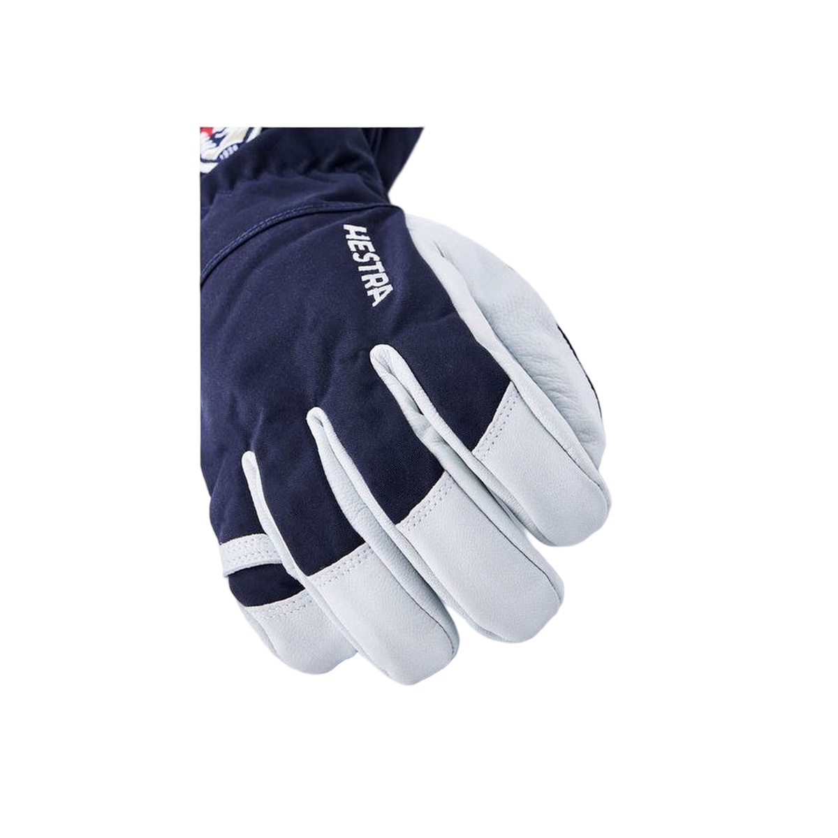 Hestra Army Leather Heli Ski - 5 finger