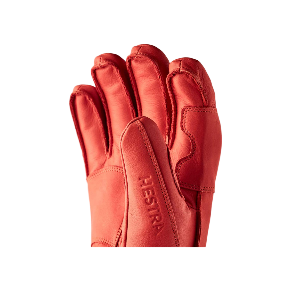 Hestra Fall Line - 5 finger