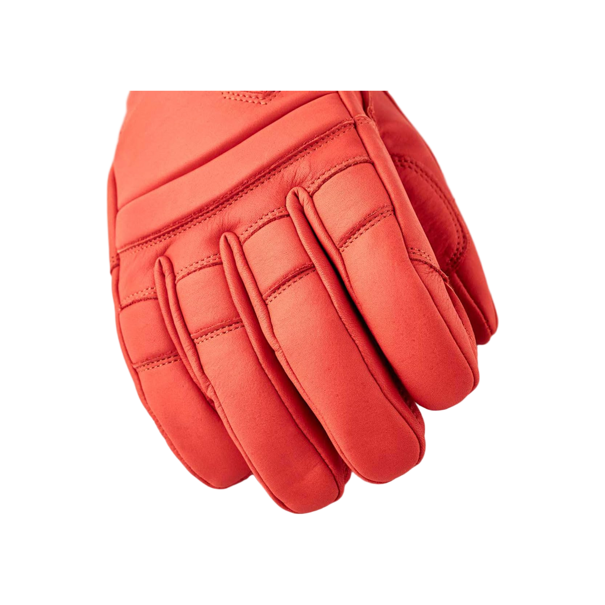 Hestra Fall Line - 5 finger