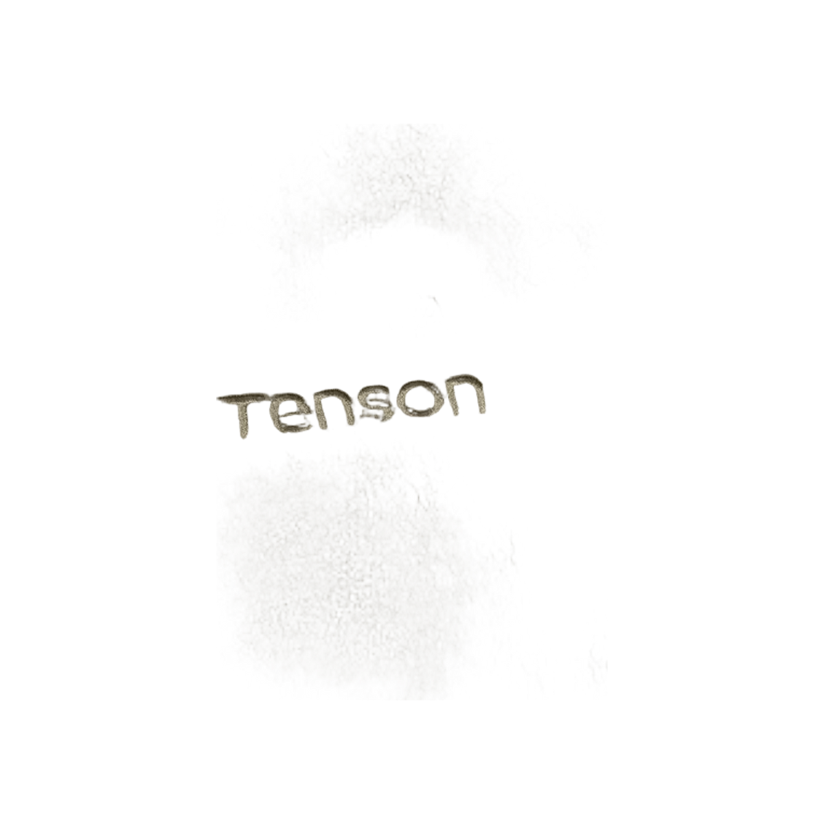 Tenson Miracle Fleece Men