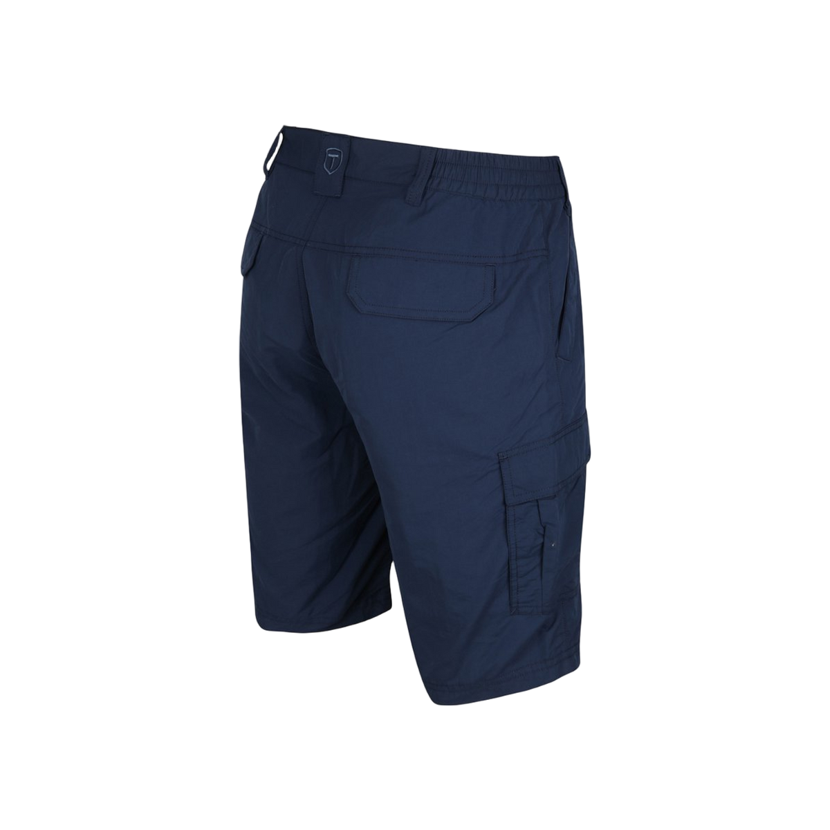 Tenson Thad Outdoor Shorts Waterafstotend