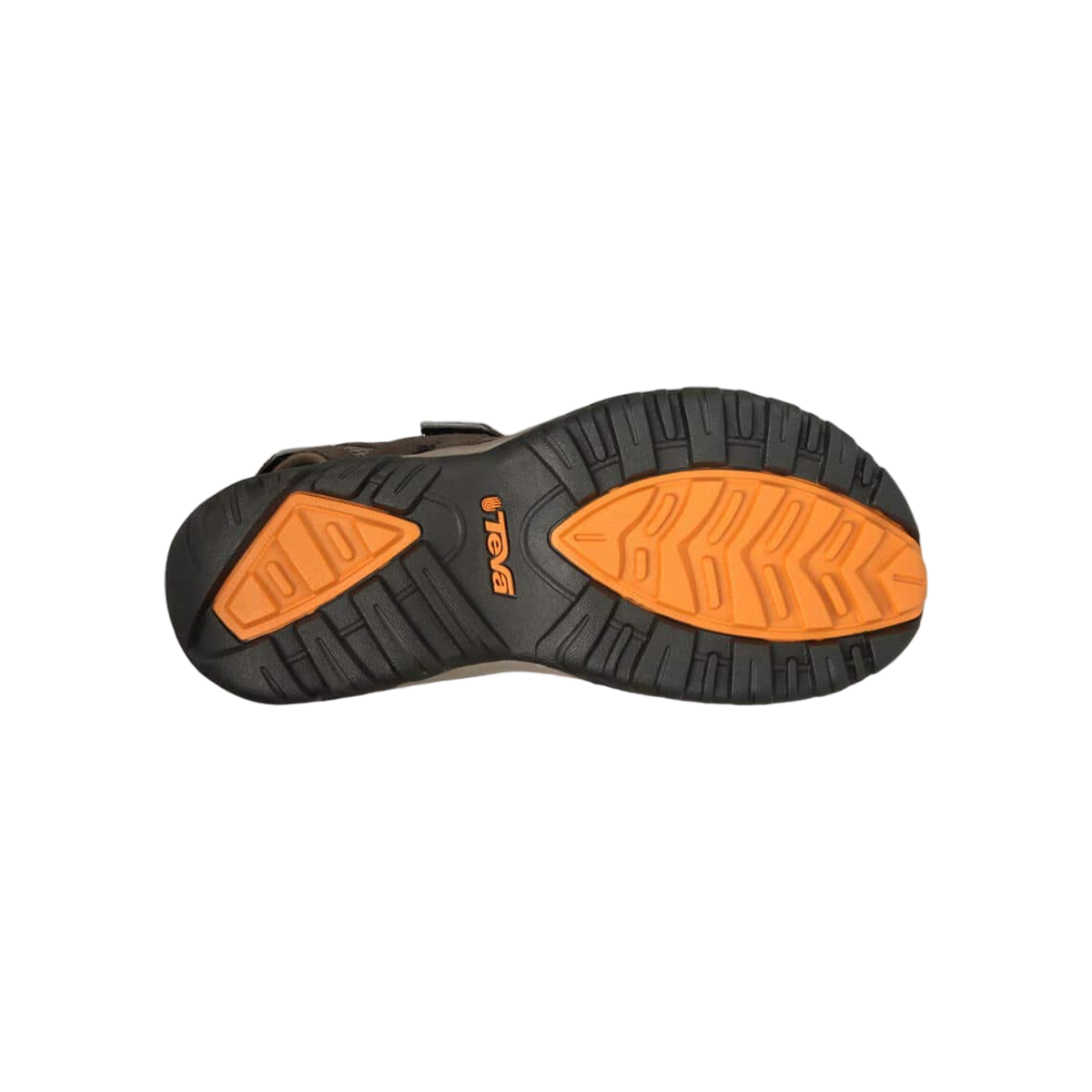 Teva M Hudson