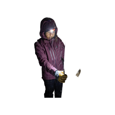 Black Diamond Spot 400-R Headlamp