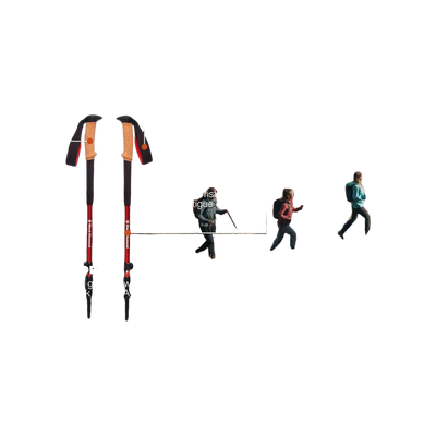 Black Diamond Trail Cork Trekking Poles