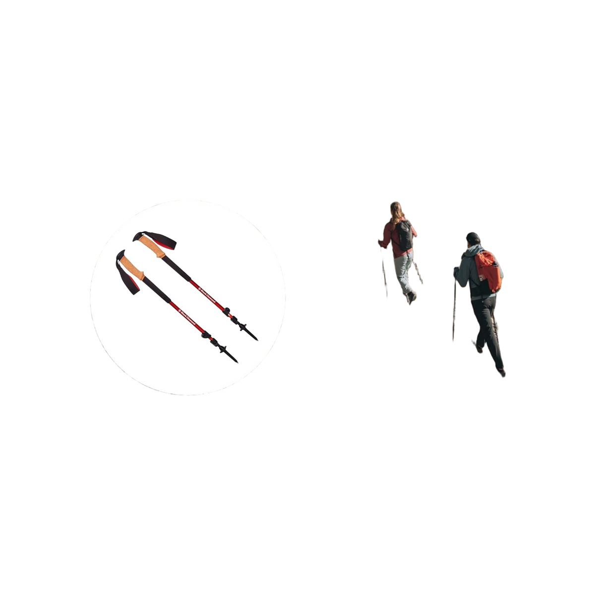 Black Diamond Trail Cork Trekking Poles