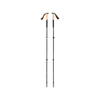 Black Diamond Trail Cork Trekking Poles