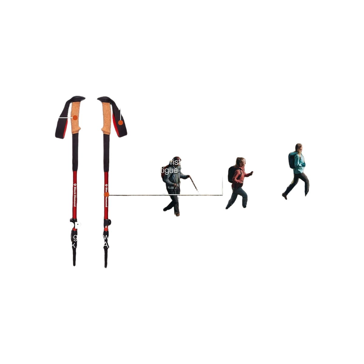 Black Diamond Trail Cork Trekking Poles