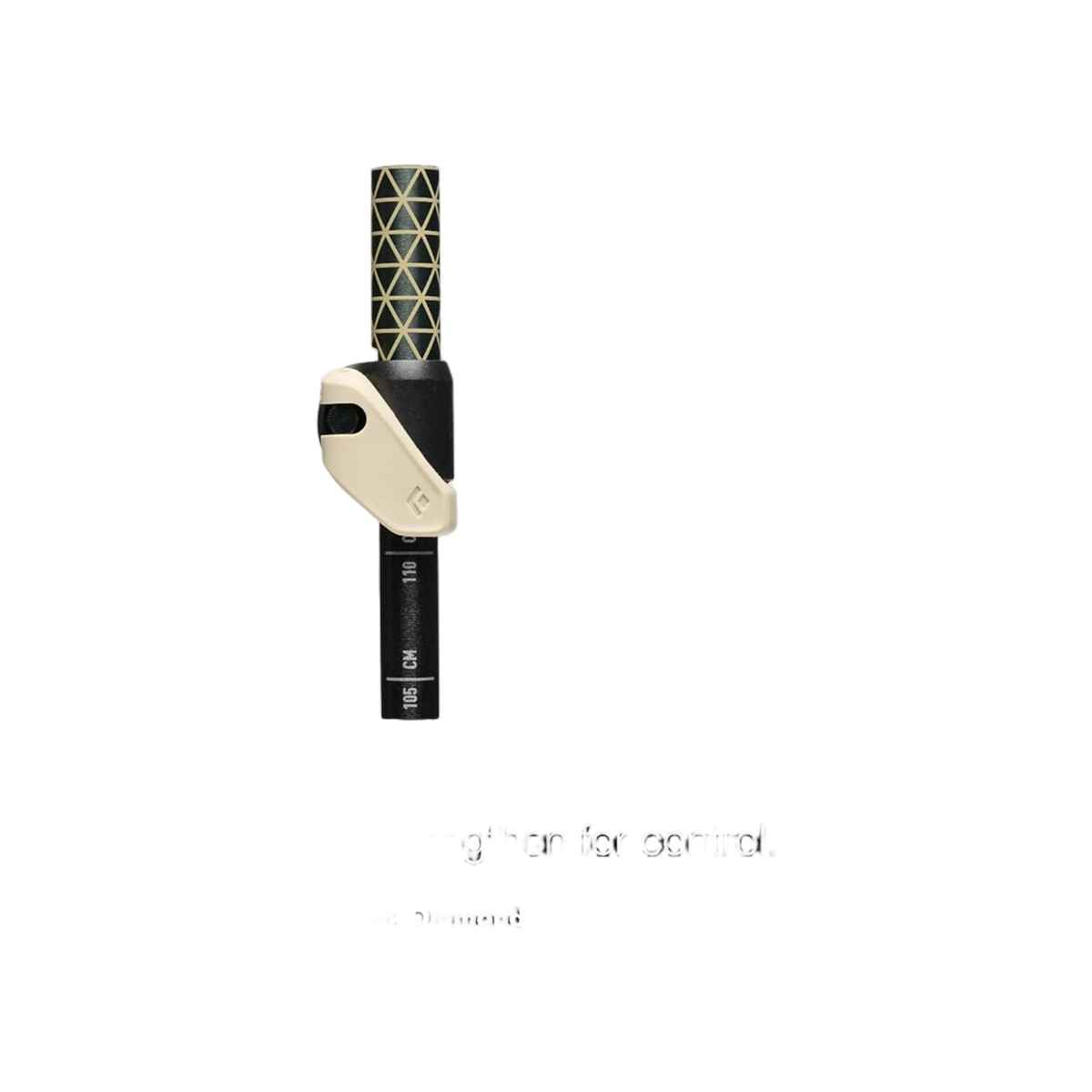 Black Diamond Trail Cork Trekking Poles