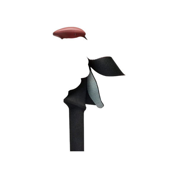 Black Diamond Trail Trekking Poles