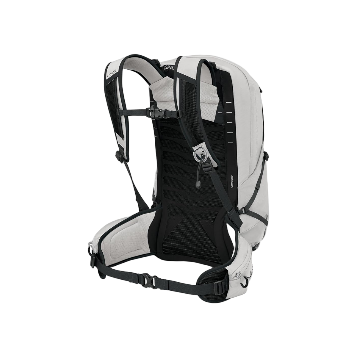Osprey Talon 22