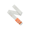 Arcade Polar