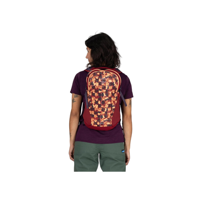 Osprey Daylite