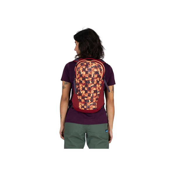 Osprey Daylite