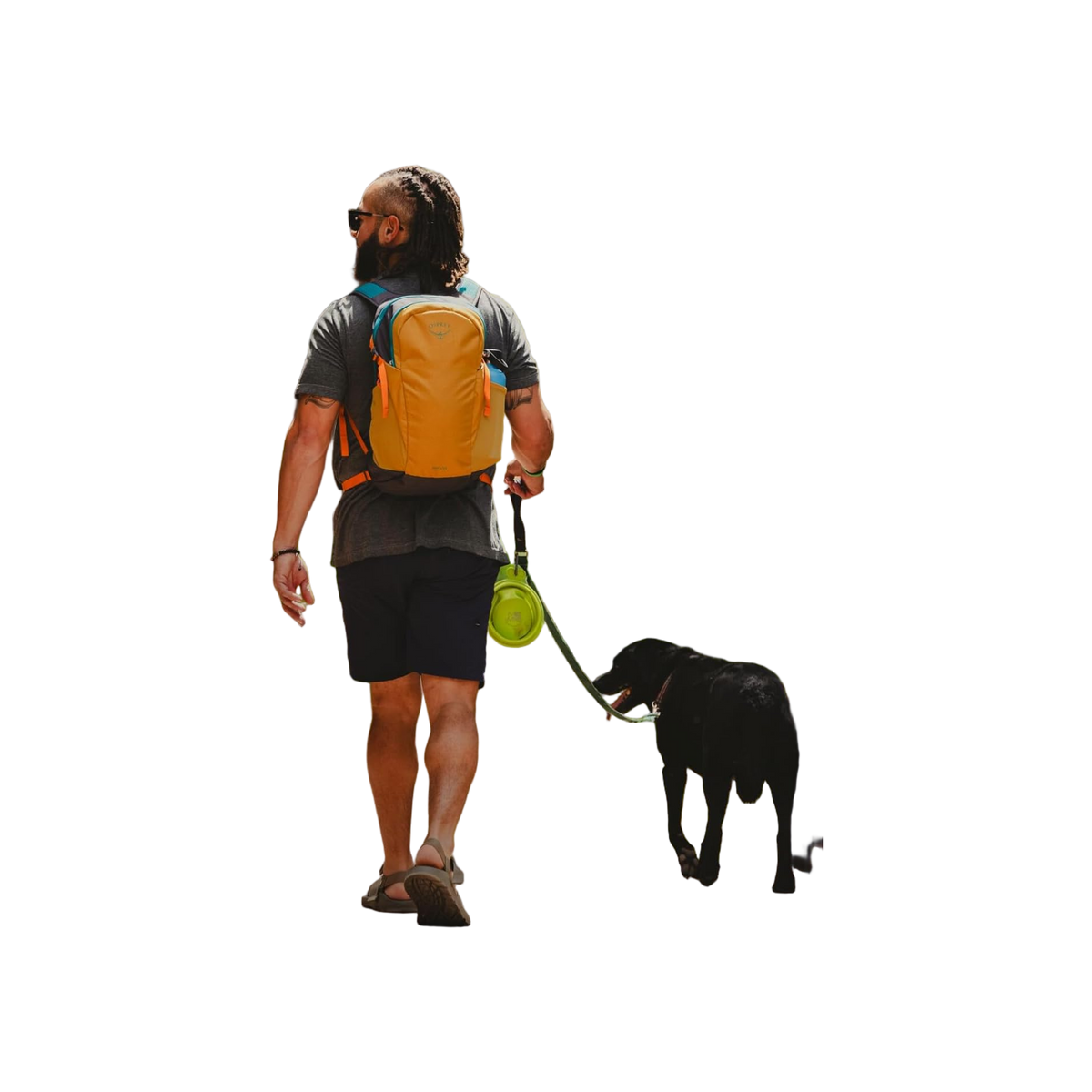 Osprey Daylite