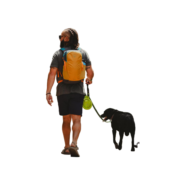 Osprey Daylite