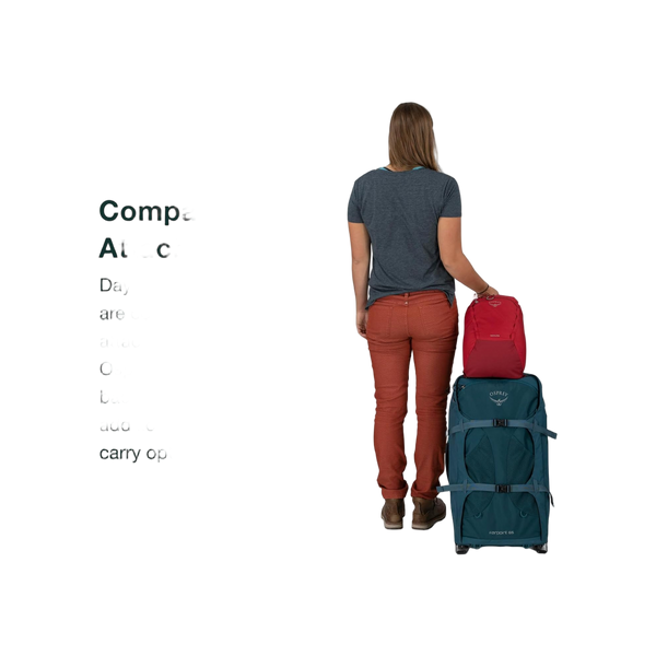 Osprey Daylite