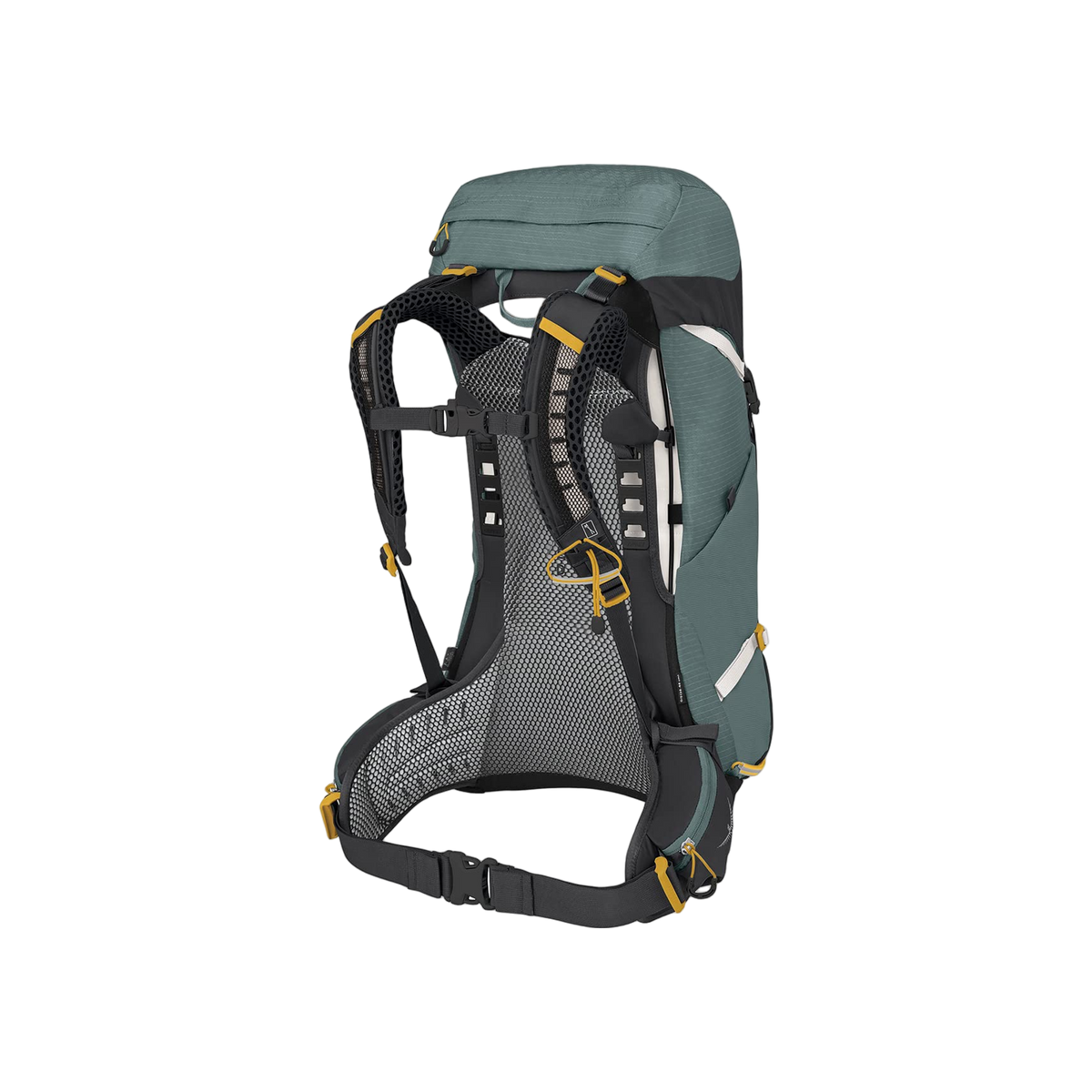 Osprey Sirrus 26 Succulent Green O/S