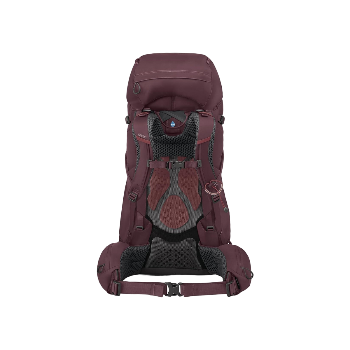 Osprey Kyte 58