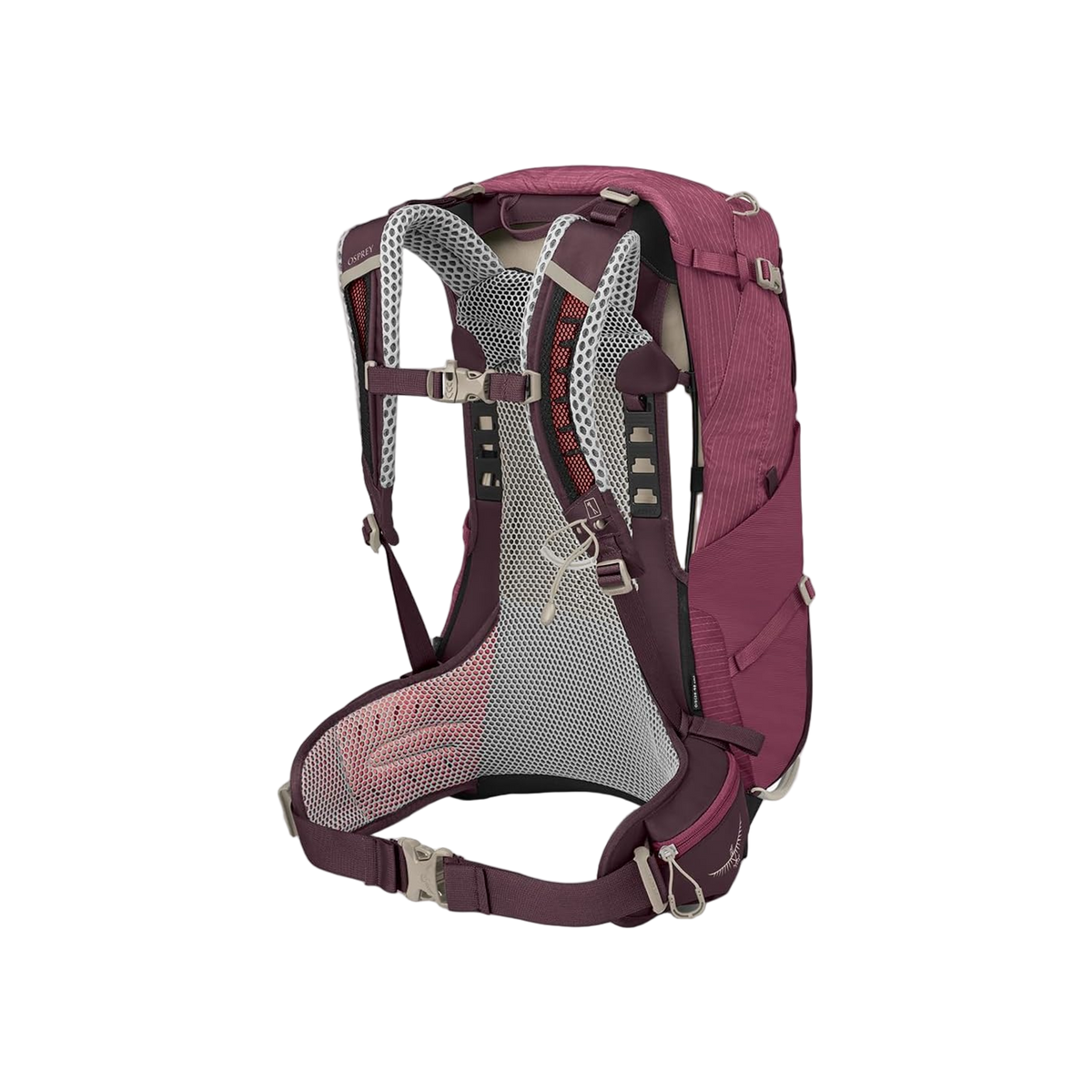 Osprey Sirrus 24 Elderberry Purple/Chiru Tan O/S