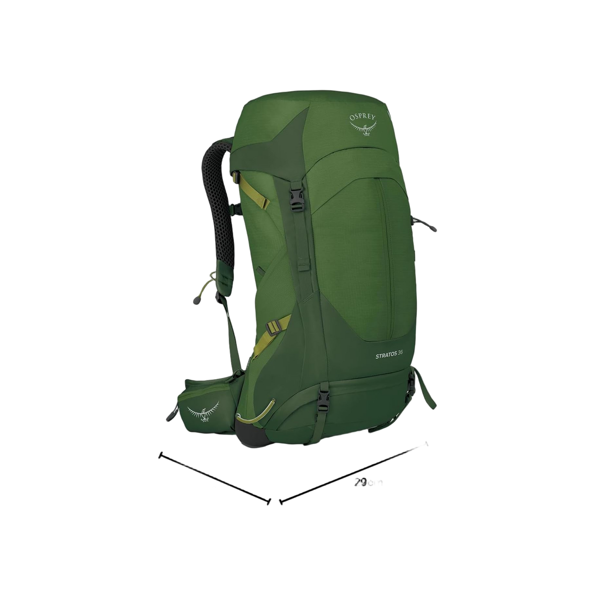 Osprey Stratos 36 Seaweed/Matcha Green O/S