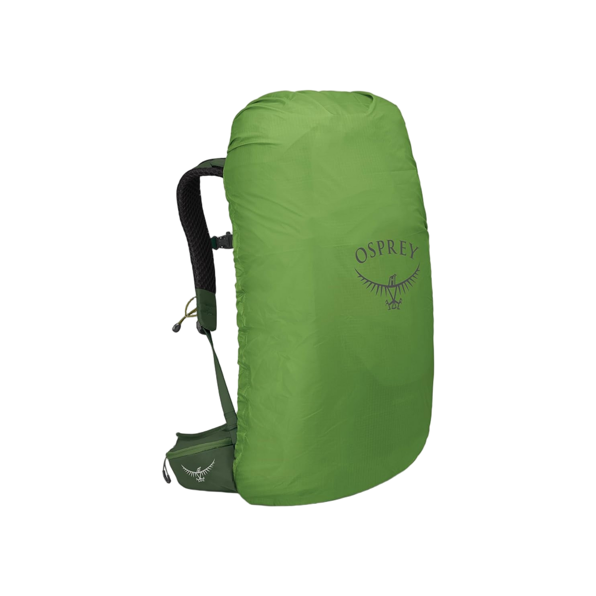 Osprey Stratos 36 Seaweed/Matcha Green O/S