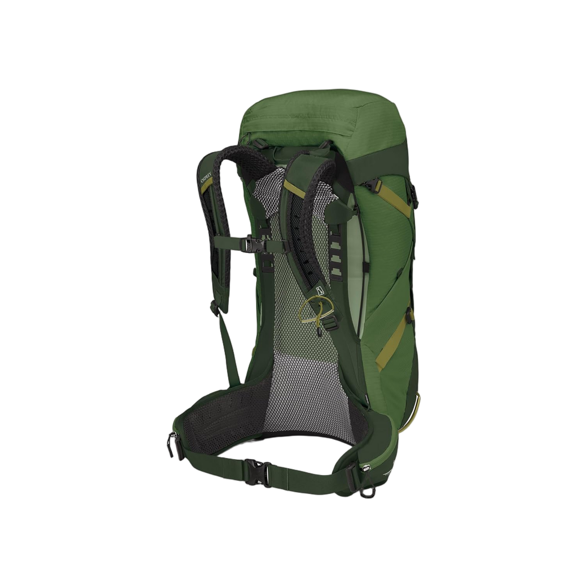 Osprey Stratos 36 Seaweed/Matcha Green O/S