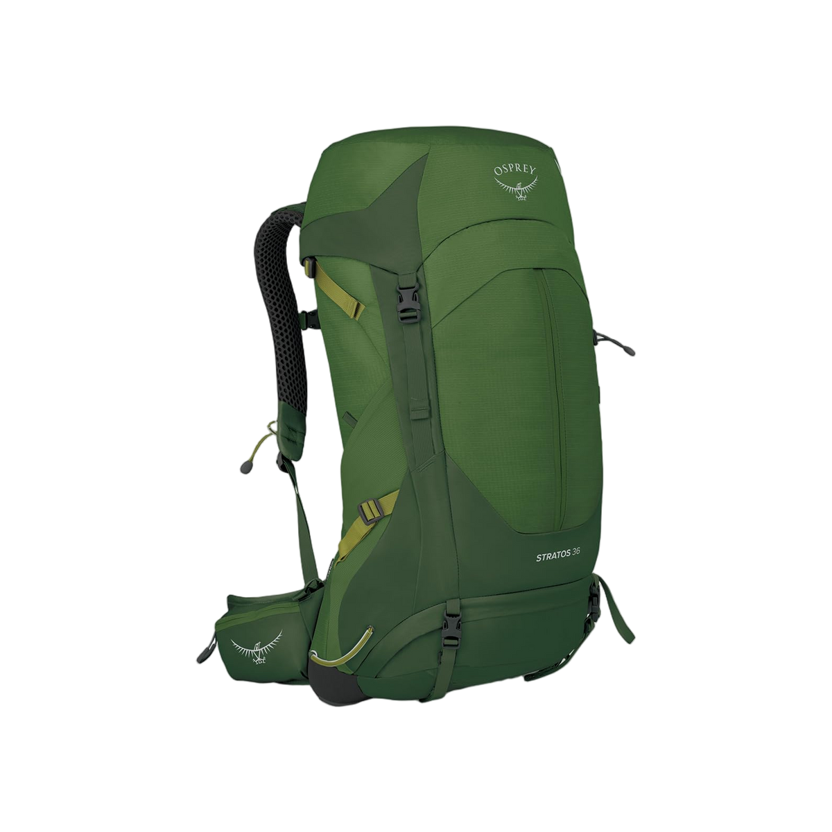 Osprey Stratos 36 Seaweed/Matcha Green O/S