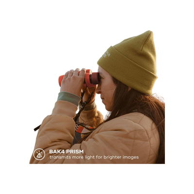 Nocs Field Issue 8x32