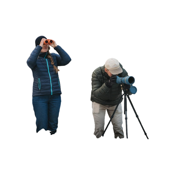 Nocs Aluminium Tripod