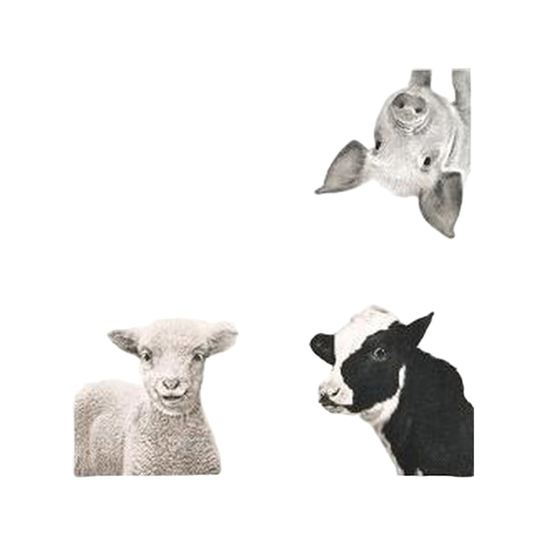 Mepal koelelement