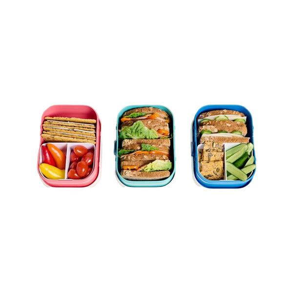 lunchbox campus - paw patrol