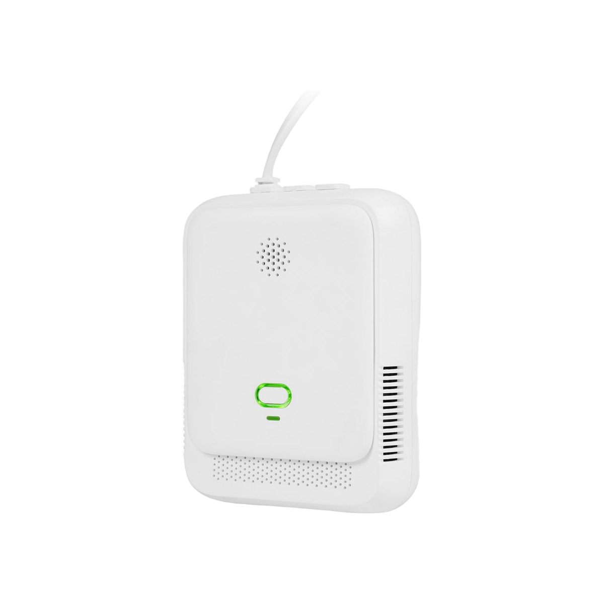 Smartwares Gasmelder FGA-13410