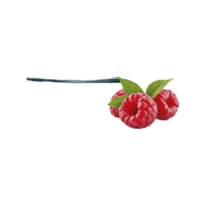 Care Plus O.R.S. Children raspberry flavour
