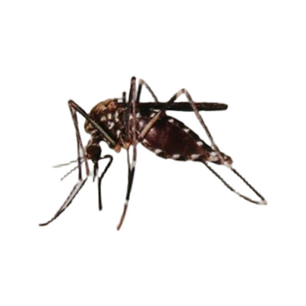 Care Plus Anti-Insect Deet 40% spray, 60ml