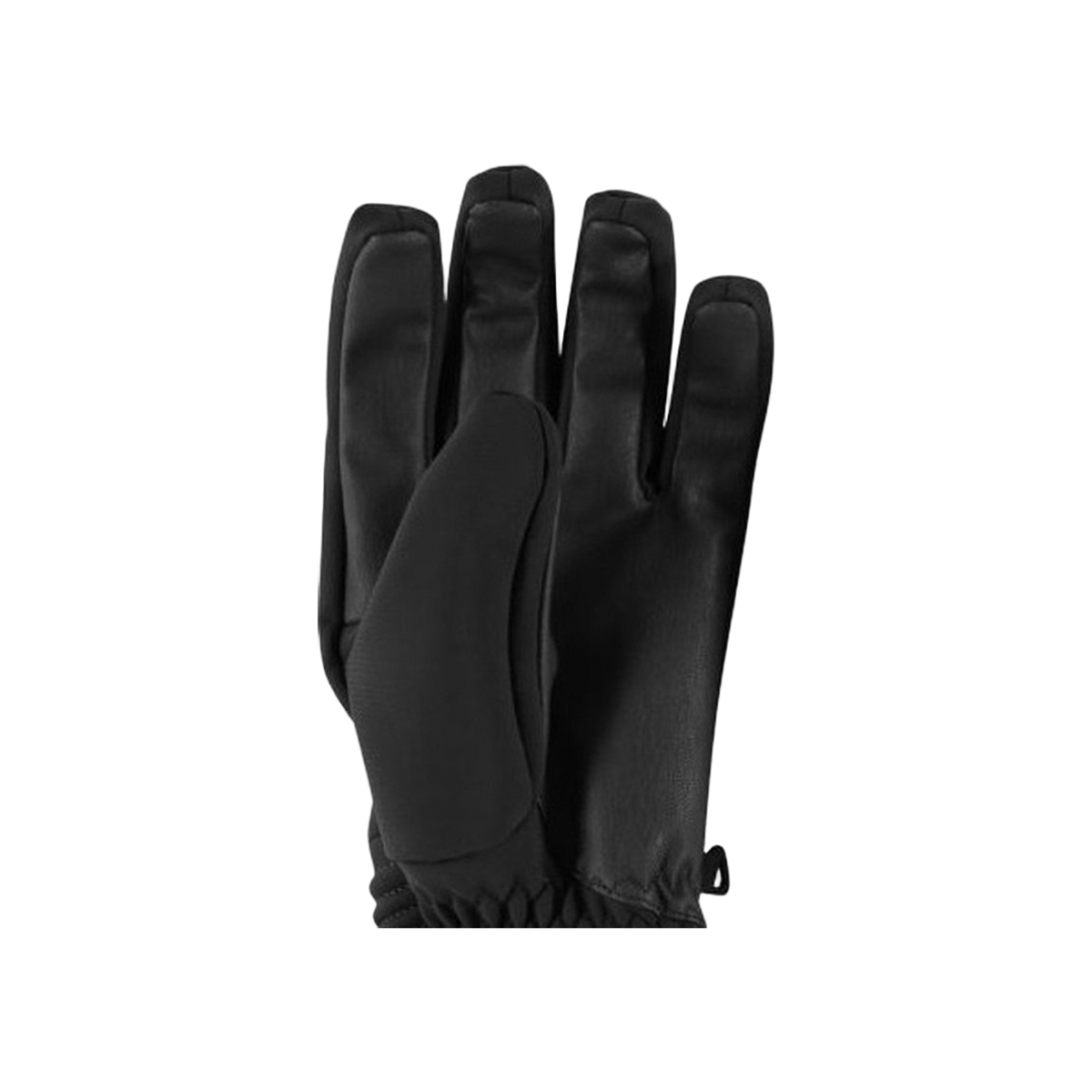 Sinner Ski Mont Glove