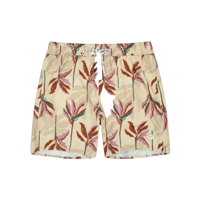 Barts Fervis Shorts