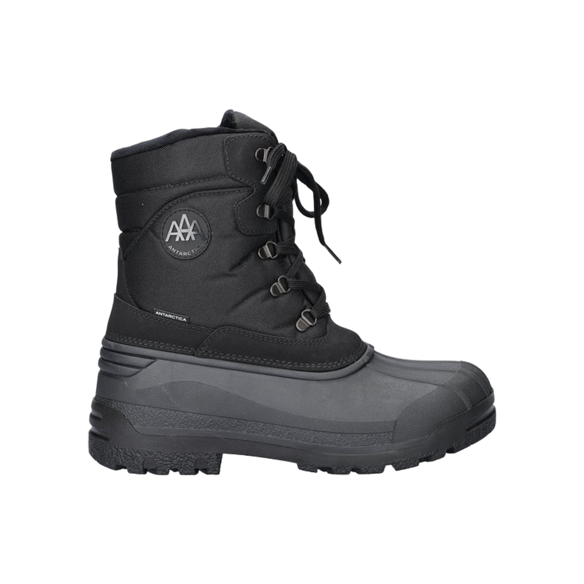 Antartica 903