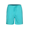 Pastunette Solid Badeshorts Herren Schnelltrocknend