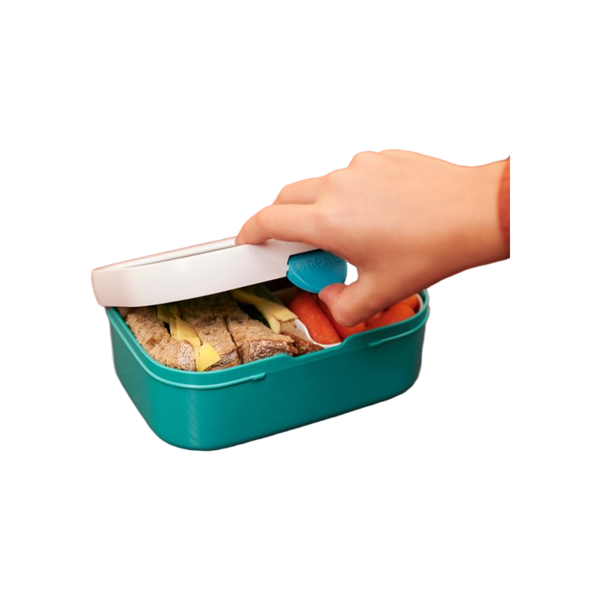 lunchbox campus - spiderman
