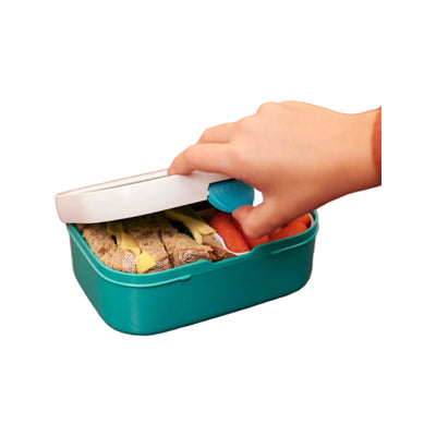 lunchbox campus - little farm