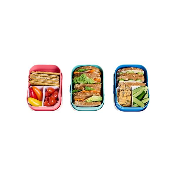lunchbox campus - paw patrol pups