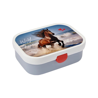 lunchbox campus - wild horse