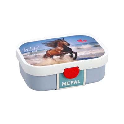 lunchbox campus - wild horse