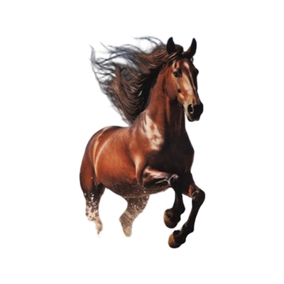 lunchbox campus - wild horse