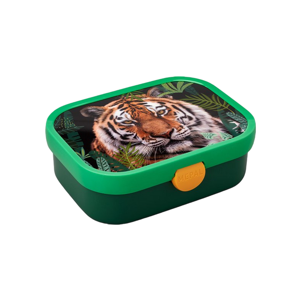 lunchbox campus - wild tiger