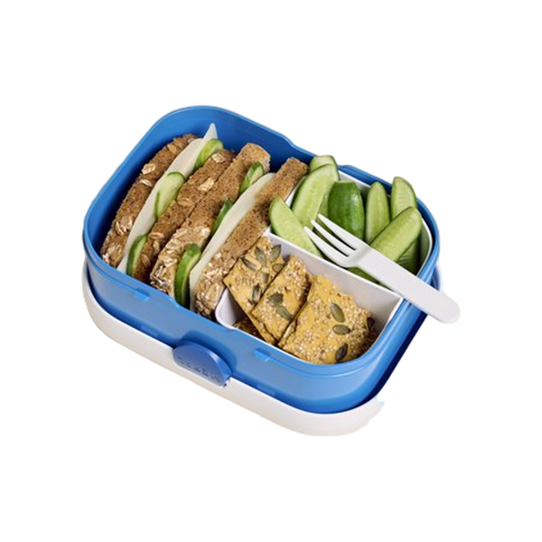 lunchbox campus - wild tiger