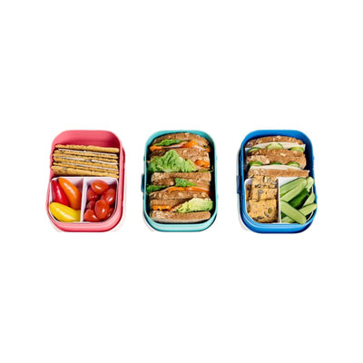 lunchbox campus - stitch