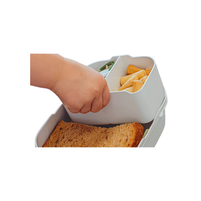lunchbox campus - fairy garden